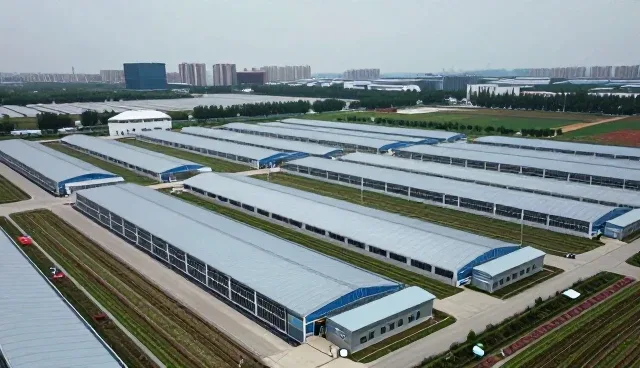 诊疗规范对健康检查性能与适用条件的影响分析